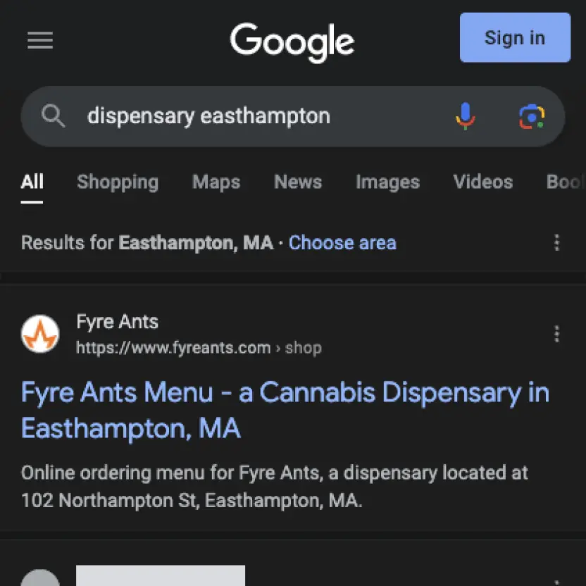 screenshot of google search with seo practices